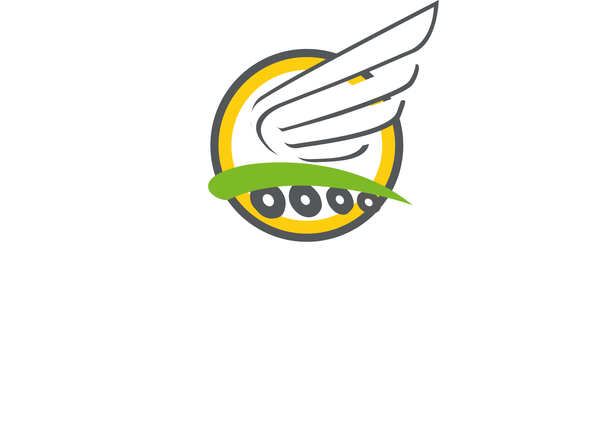 Rolling Pattinatori